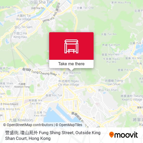 豐盛街, 瓊山苑外 Fung Shing Street, Outside King Shan Court map