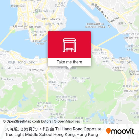 大坑道, 香港真光中學對面 Tai Hang Road Opposite True Light Middle School Hong Kong map