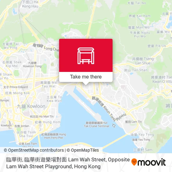 臨華街, 臨華街遊樂場對面 Lam Wah Street, Opposite Lam Wah Street Playground地圖