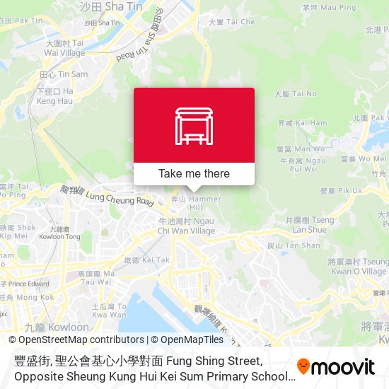 豐盛街, 聖公會基心小學對面 Fung Shing Street, Opposite Sheung Kung Hui Kei Sum Primary School map