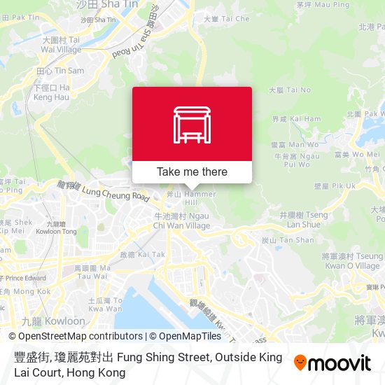 豐盛街, 瓊麗苑對出 Fung Shing Street, Outside King Lai Court map