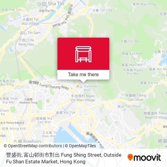 豐盛街, 富山邨街市對出 Fung Shing Street, Outside Fu Shan Estate Market map