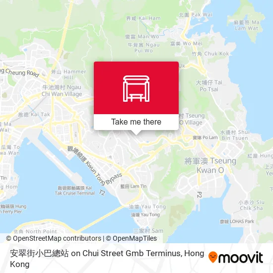 安翠街小巴總站 on Chui Street Gmb Terminus map