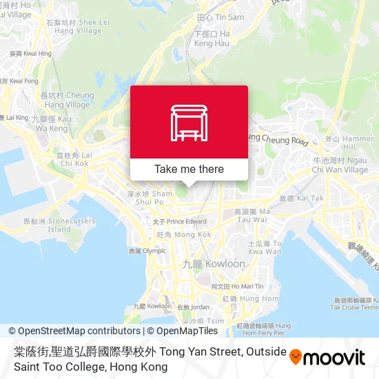 棠蔭街,聖道弘爵國際學校外 Tong Yan Street, Outside Saint Too College map