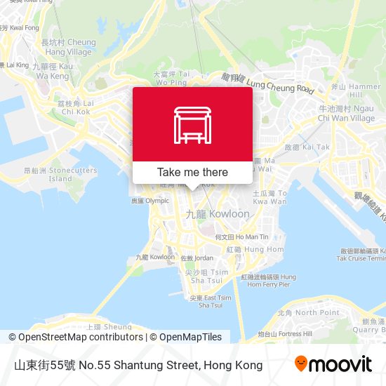 山東街55號 No.55 Shantung Street map