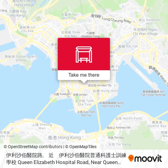 伊利沙伯醫院路,　近　伊利沙伯醫院普通科護士訓練學校 Queen Elizabeth Hospital Road, Near Queen Elizabeth Hospital School Of General Nursing map