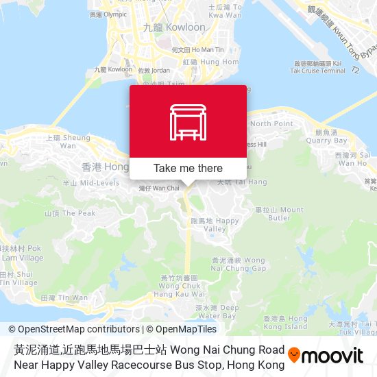 黃泥涌道,近跑馬地馬場巴士站 Wong Nai Chung Road Near Happy Valley Racecourse Bus Stop map
