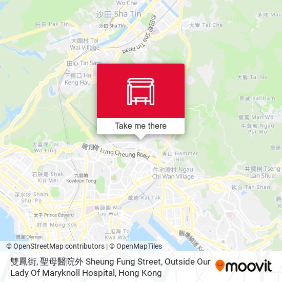 雙鳳街, 聖母醫院外 Sheung Fung Street, Outside Our Lady Of Maryknoll Hospital map