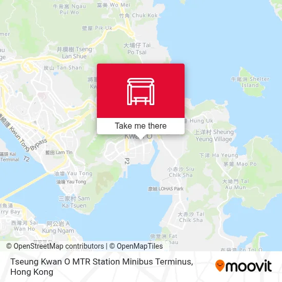 Tseung Kwan O MTR Station Minibus Terminus map