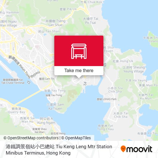 港鐵調景嶺站小巴總站 Tiu Keng Leng Mtr Station Minibus Terminus map