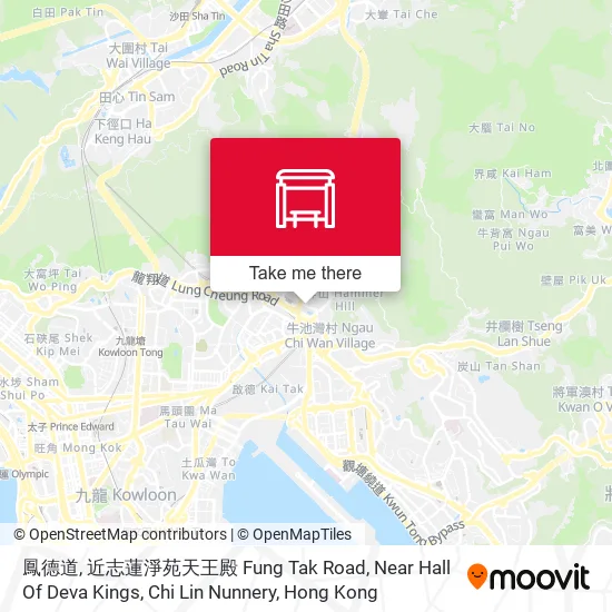 鳳德道, 近志蓮淨苑天王殿 Fung Tak Road, Near Hall Of Deva Kings, Chi Lin Nunnery地圖