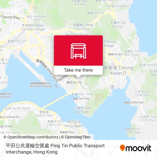 平田公共運輸交匯處 Ping Tin Public Transport Interchange map