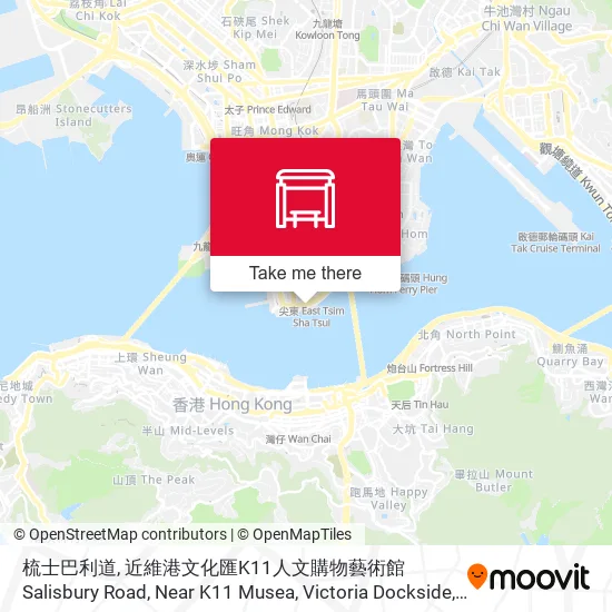 梳士巴利道, 近維港文化匯K11人文購物藝術館 Salisbury Road, Near K11 Musea, Victoria Dockside地圖