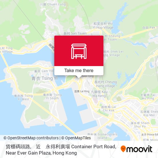 貨櫃碼頭路,　近　永得利廣場 Container Port Road, Near Ever Gain Plaza map