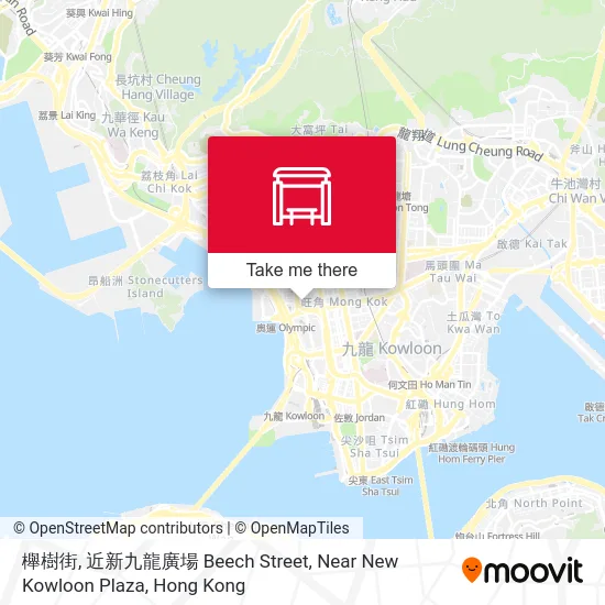 櫸樹街, 近新九龍廣場 Beech Street, Near New Kowloon Plaza map