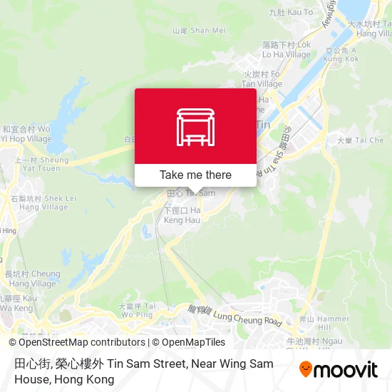田心街, 榮心樓外 Tin Sam Street, Near Wing Sam House地圖