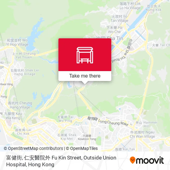 富健街, 仁安醫院外 Fu Kin Street, Outside Union Hospital map