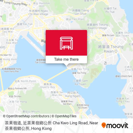 茶果嶺道, 近茶果嶺鄉公所 Cha Kwo Ling Road, Near 茶果嶺鄉公所 map