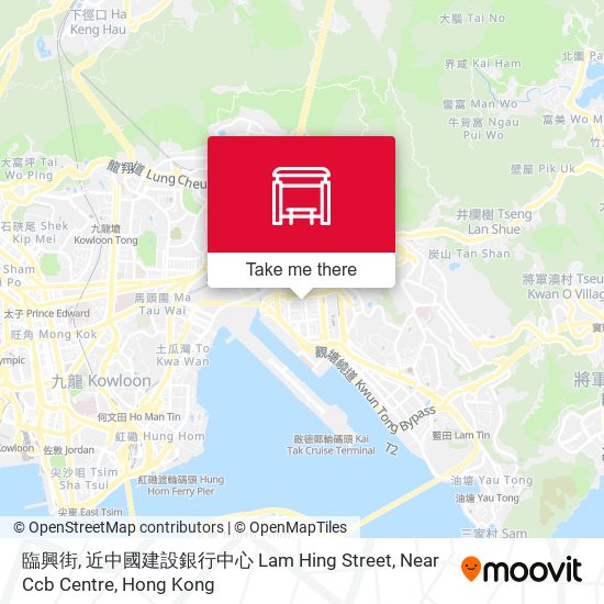 臨興街, 近中國建設銀行中心 Lam Hing Street, Near Ccb Centre map