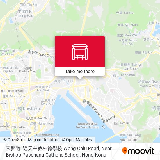 宏照道, 近天主教柏德學校 Wang Chiu Road, Near Bishop Paschang Catholic School map