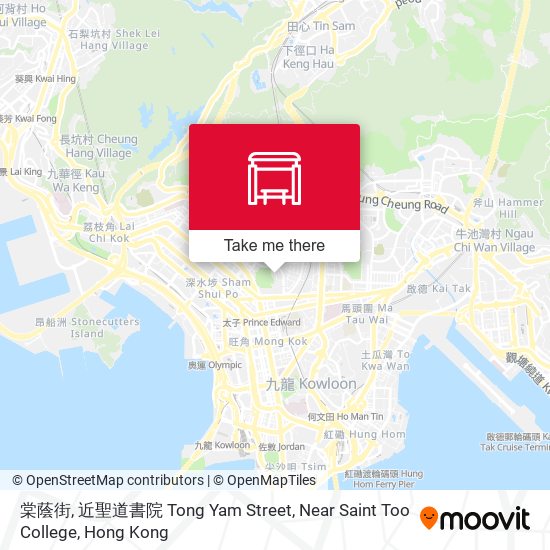 棠蔭街, 近聖道書院 Tong Yam Street, Near Saint Too College map