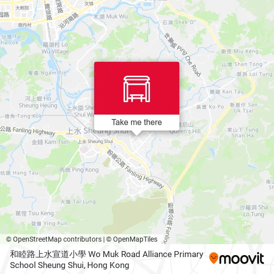 和睦路上水宣道小學 Wo Muk Road Alliance Primary School Sheung Shui地圖
