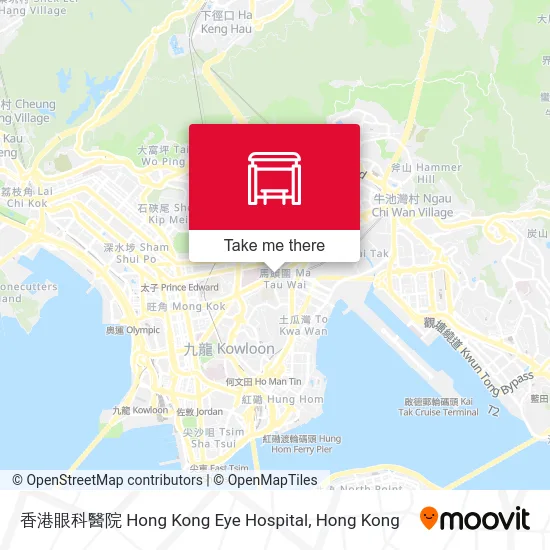 香港眼科醫院 Hong Kong Eye Hospital地圖