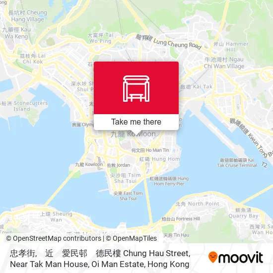 忠孝街,　近　愛民邨　德民樓 Chung Hau Street, Near Tak Man House, Oi Man Estate地圖