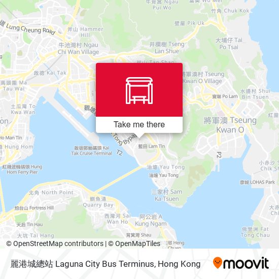 麗港城總站 Laguna City Bus Terminus地圖