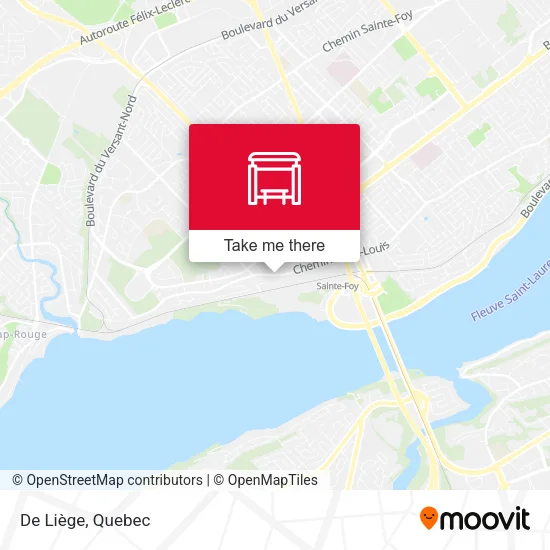 De Liège map