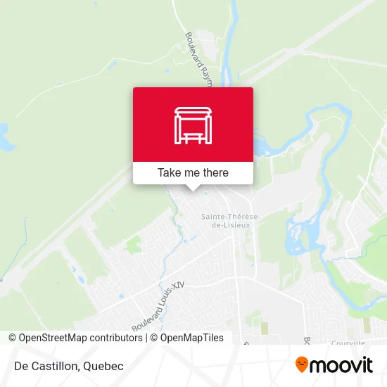De Castillon map