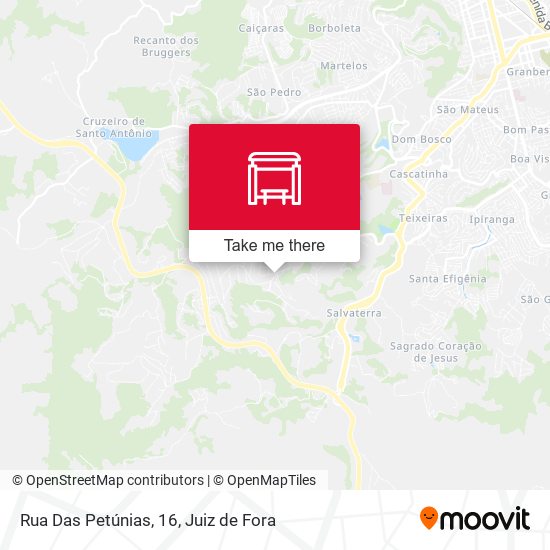 Rua Das Petúnias, 16 map