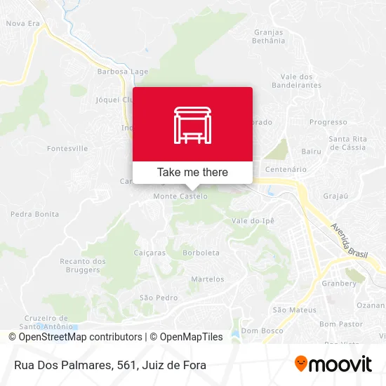 Rua Dos Palmares, 561 map