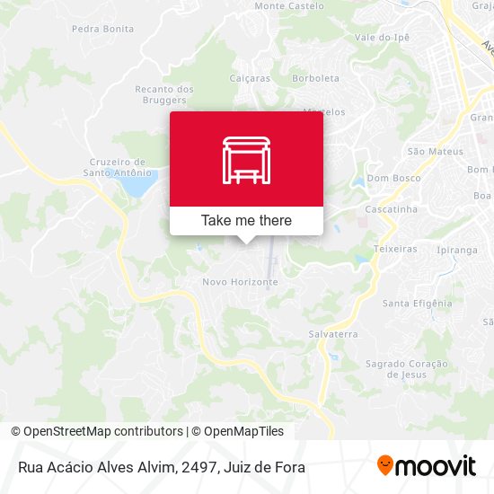 Mapa Rua Acácio Alves Alvim, 2497