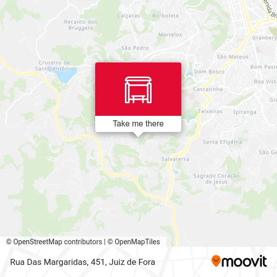 Rua Das Margaridas, 451 map