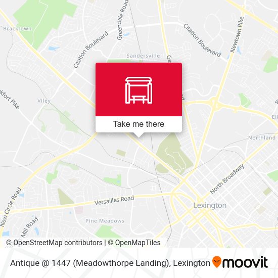 Antique @ 1447 (Meadowthorpe Landing) map