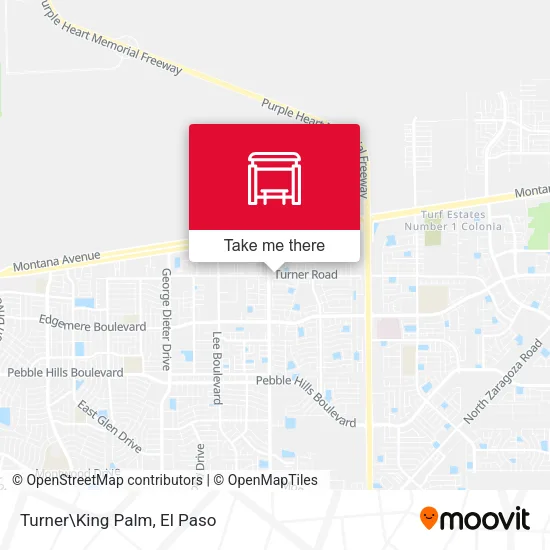 Mapa de Turner\King Palm