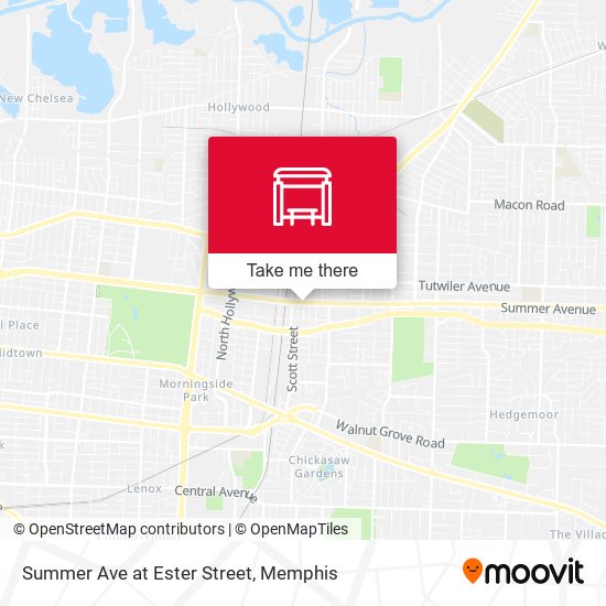 Mapa de Summer Ave at Ester Street