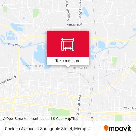 Chelsea Avenue at Springdale Street map