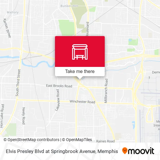Mapa de Elvis Presley Blvd at Springbrook Avenue