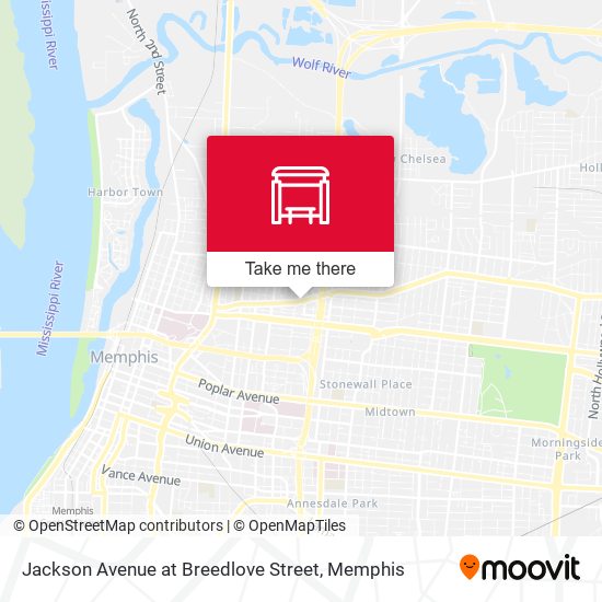 Jackson Avenue at Breedlove Street map