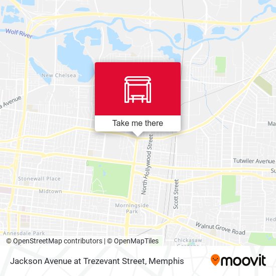 Jackson Avenue at Trezevant Street map