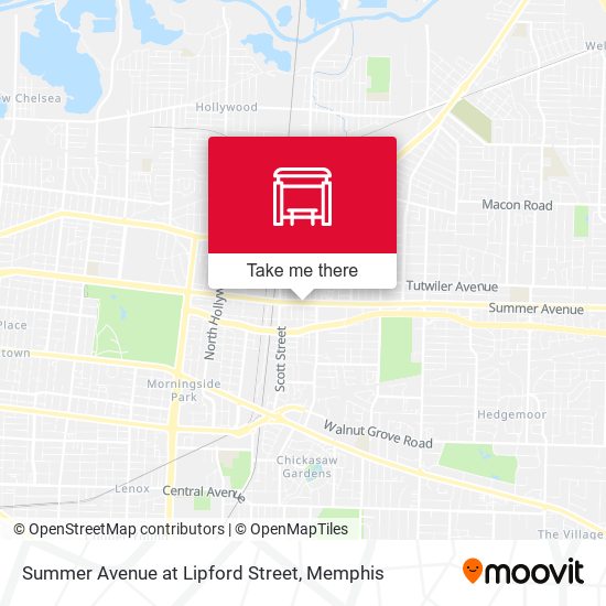 Summer Avenue at Lipford Street map