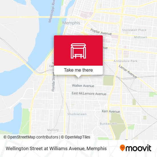 Mapa de Wellington Street at Williams Avenue