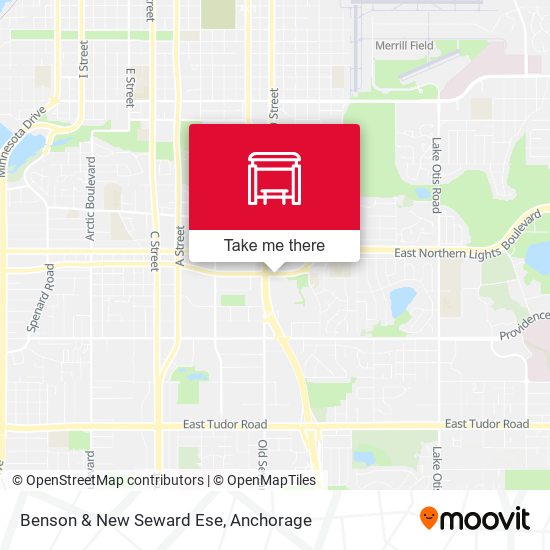 Benson & New Seward Ese map