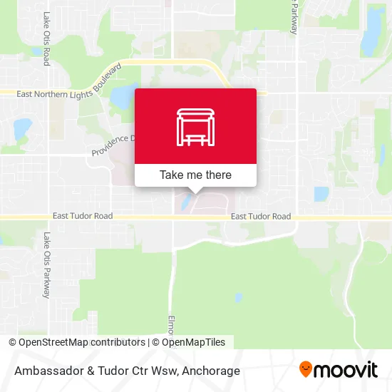 Ambassador & Tudor Ctr Wsw map