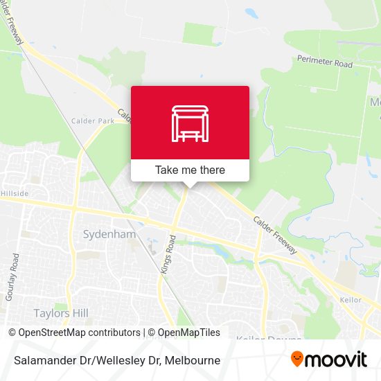 Salamander Dr/Wellesley Dr map