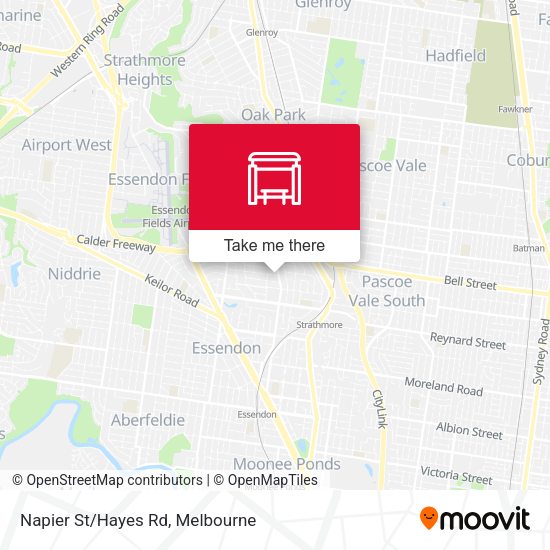 Napier St/Hayes Rd map