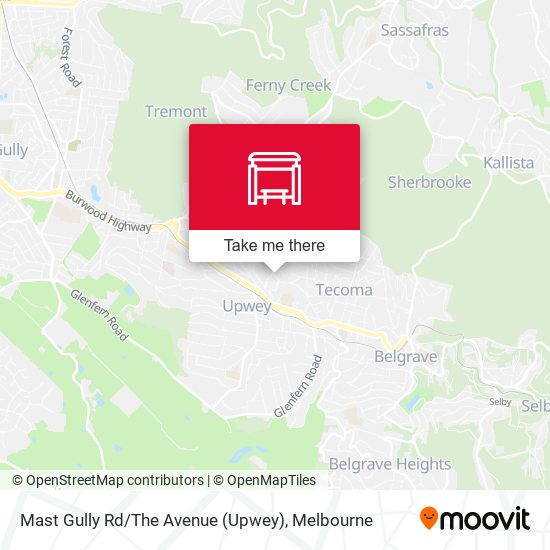 Mast Gully Rd / The Avenue (Upwey) map