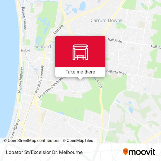 Lobator St/Excelsior Dr map